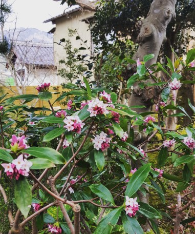 IMG_20170322_144720_434