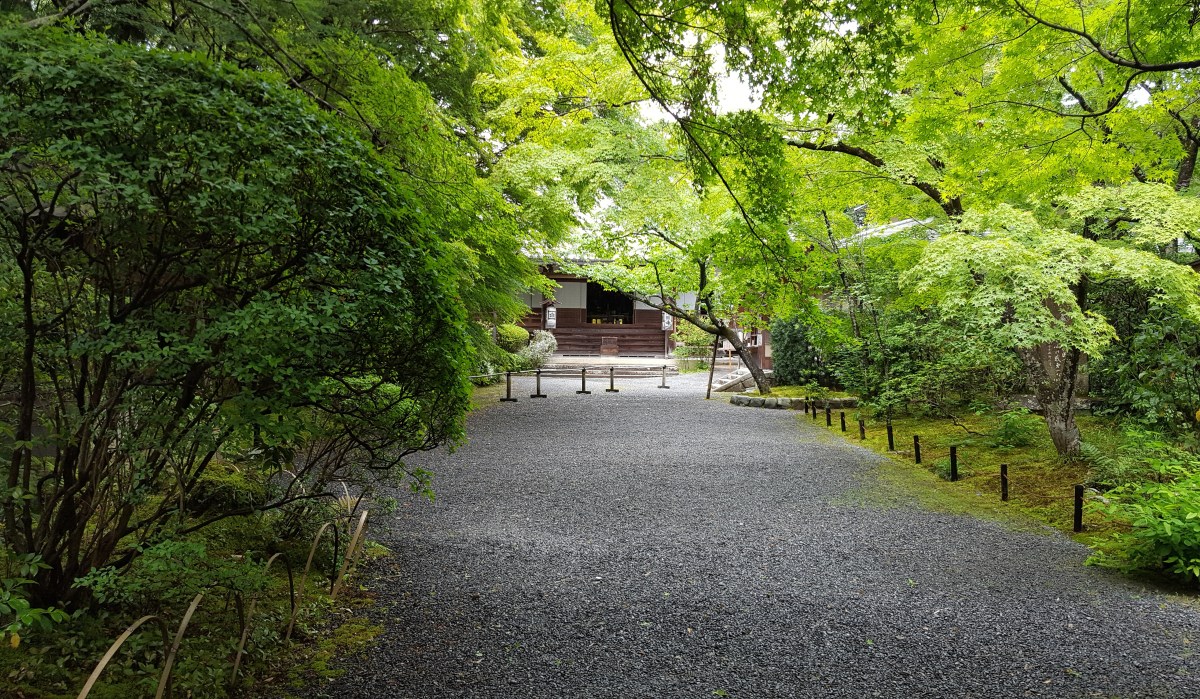 IMG_20170525_201109_081