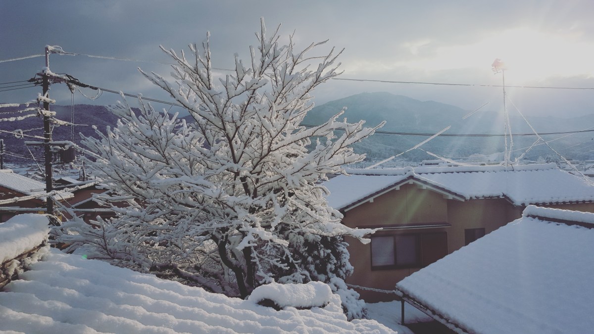 IMG_20180114_082102_141