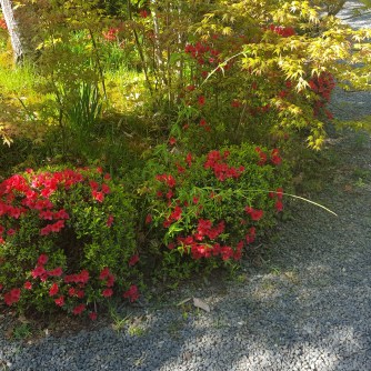 IMG_20180423_200734_953