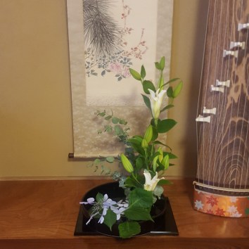 IMG_20200709_183335_664