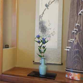 IMG_20200719_081729_172